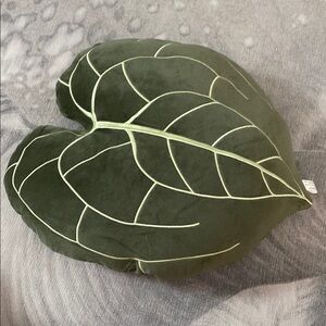 🌟CLEARANCED🌟ANTHURIUM CLARINERVIUM - KHAKI Leaf-Shaped Green Pillow